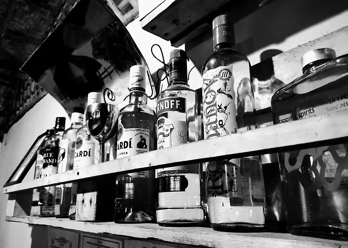 Red Monkeys Hostel Arambol