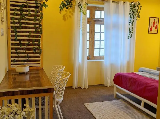 Social Courtyard Spiti Hostel Kaza