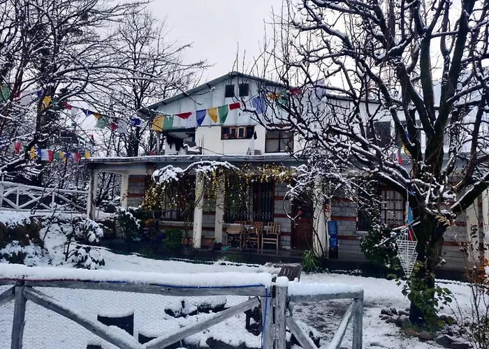 Mars Monkey Hostel & Cafe Manali 