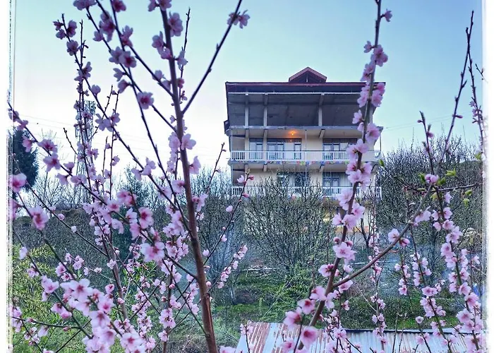 La Heim Hostels Manali 