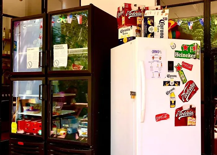 Leveli Coliving Hostel Guadalajara
