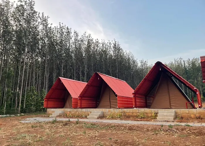 Trippr Chikkamagaluru Hostel Chikmagalur