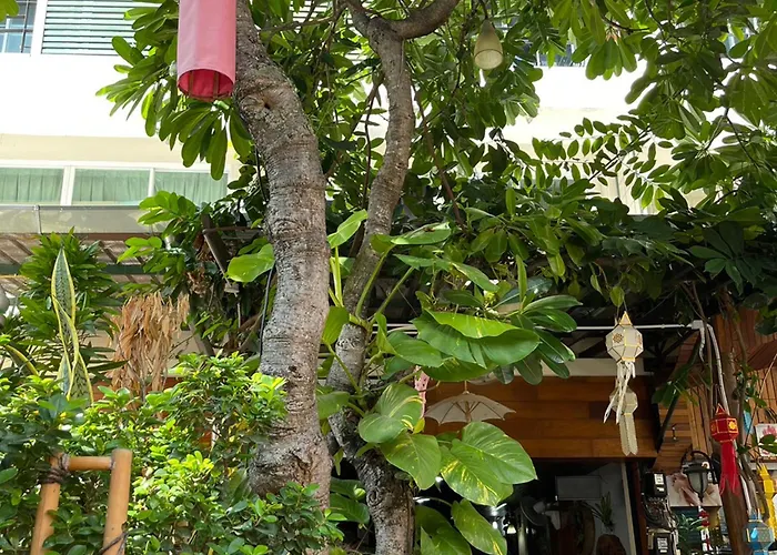 Bb House Budget & Boutique Chiang Mai