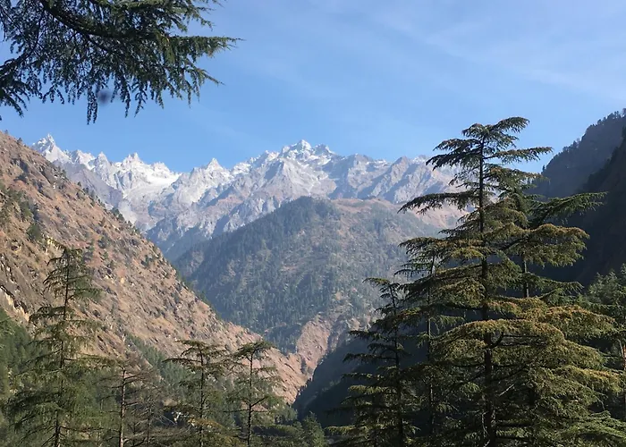 Hogwartz Hostel Kasol