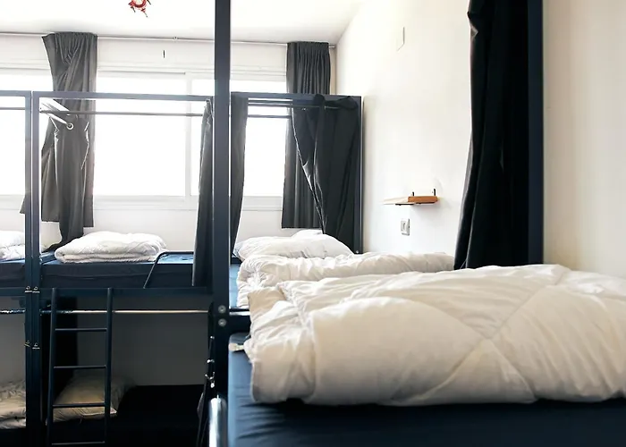 Jungle Jaffa Hostel Age 18 To 45 Tel Aviv