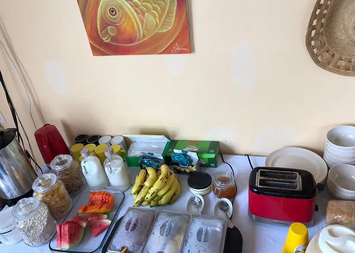 Yellow Belly Backpackers San Ignacio