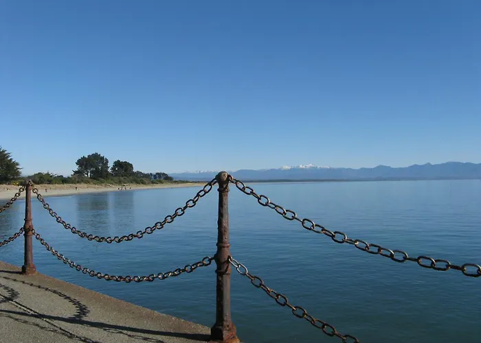 The Bug Backpackers Hostel Nelson