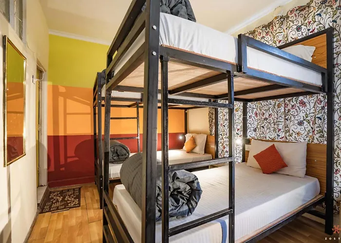 Zostel Srinagar Hostel