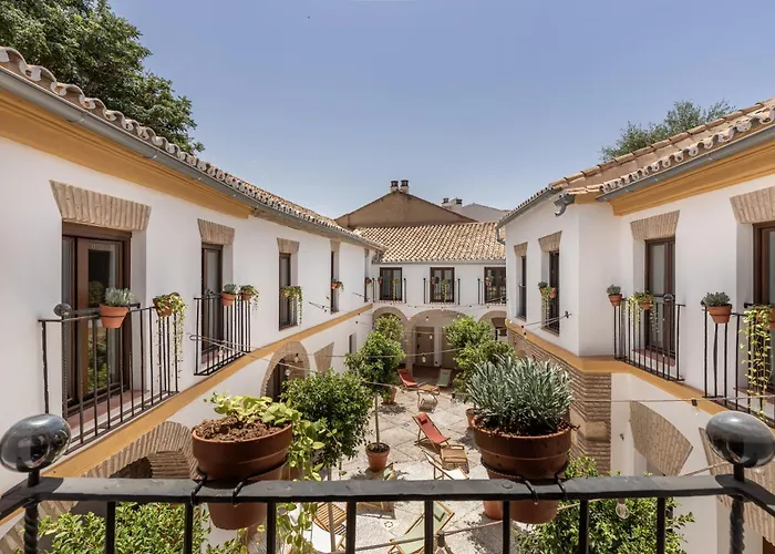 Cats Hostel Cordoba