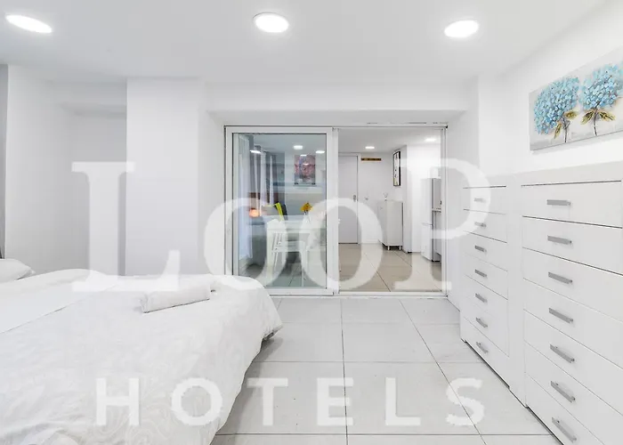 Loop America (Adults Only) Madrid