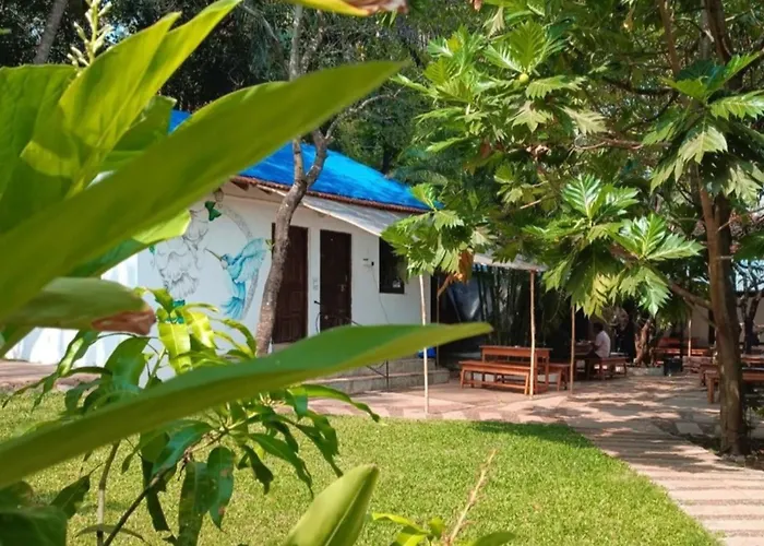 The Funky Monkey Hostel Anjuna
