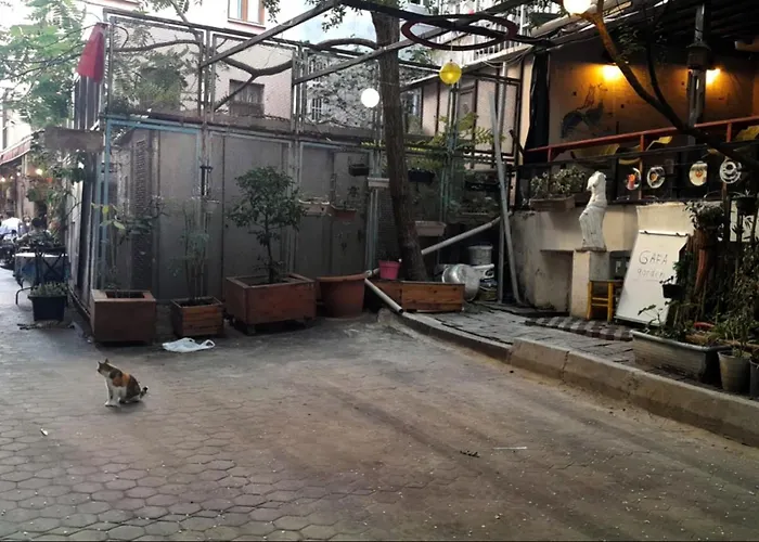 Gafa Garden Hostel & Apartments - Great Location İstanbul