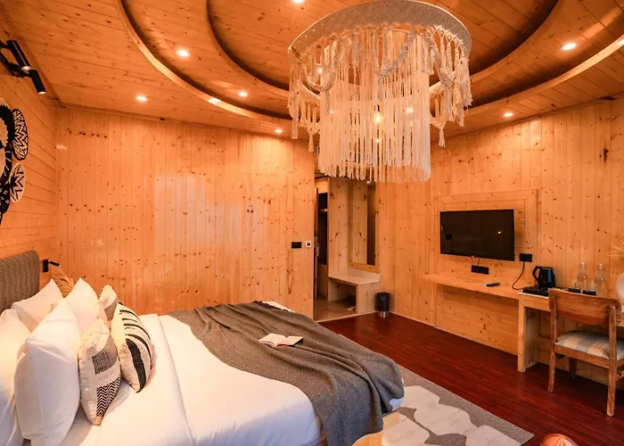 Olgah Manali Hostel
