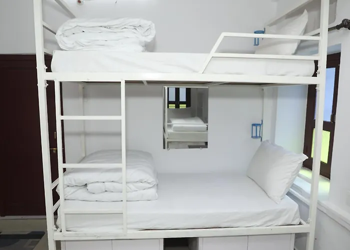 The Mama Hotel - Rooms And Dormitory Udaipur