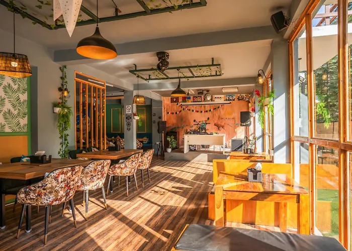 Alt Life Manali, Old Manali Hostel