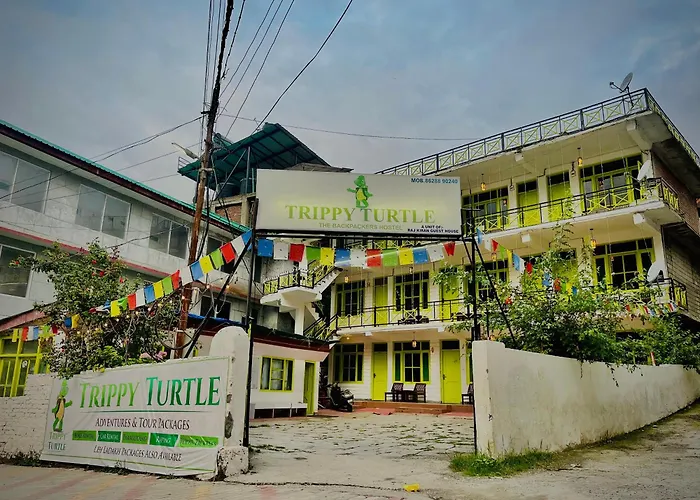 Trippy Turtle Hostel Manali 