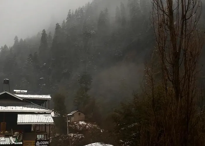 Odin Hostel Jibhi