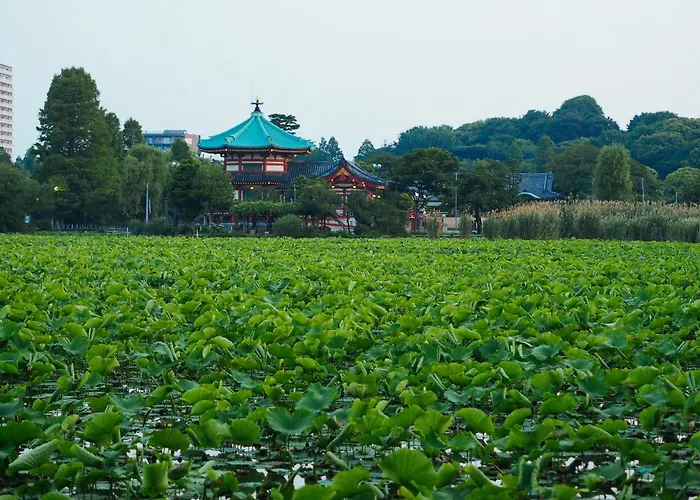 Tora Hotel Asakusa Tokyo