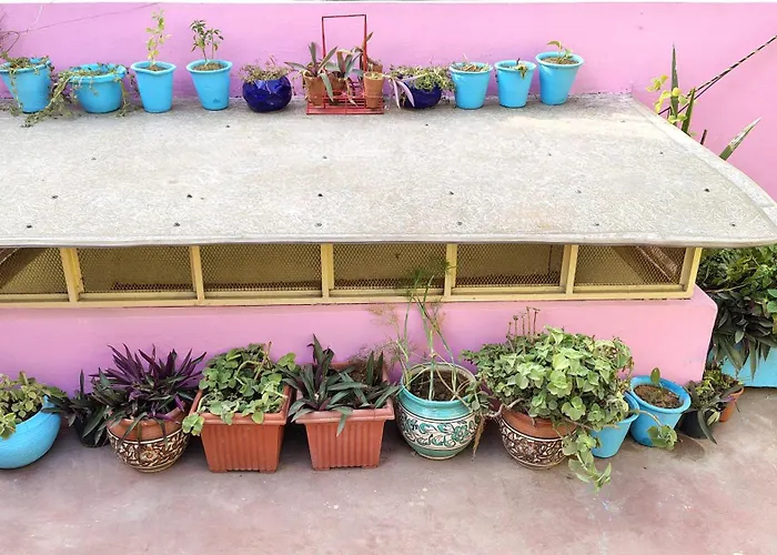 Ali Baba Hostel & Homestay Jaipur