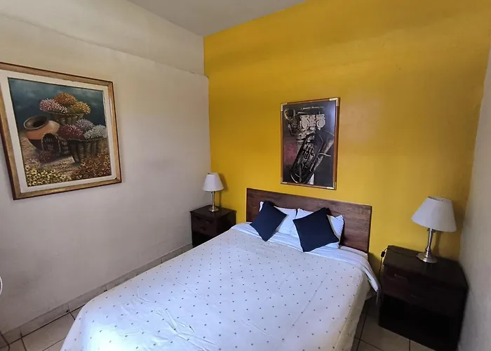 Flying Dog Hostel Lima