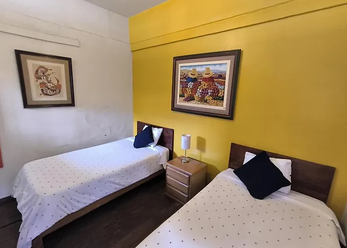 Flying Dog Hostel Lima
