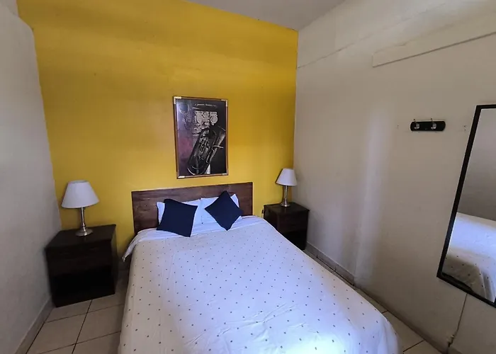Flying Dog Hostel Lima