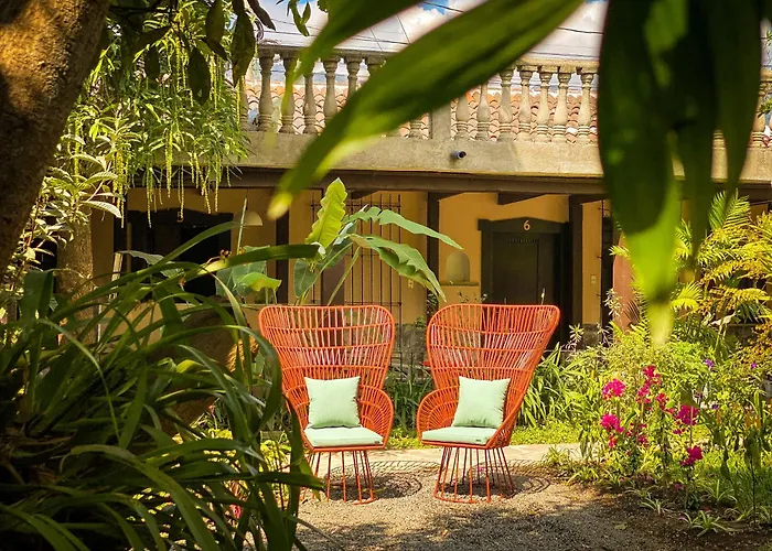 Bloom Hostel Antigua