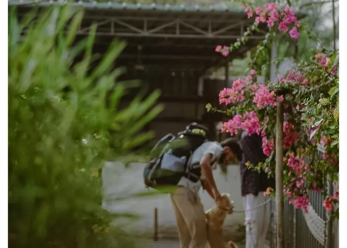 Stargaze Backpackers Hostel Guwahati