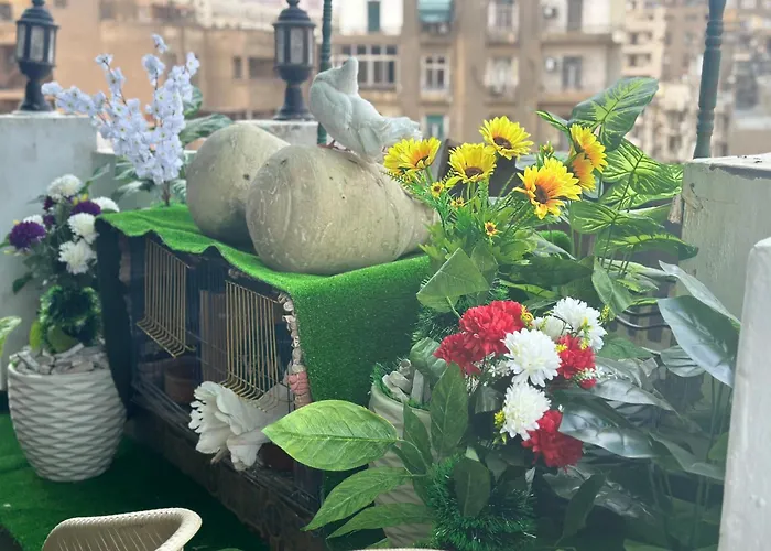 Cecilia Hostel Cairo