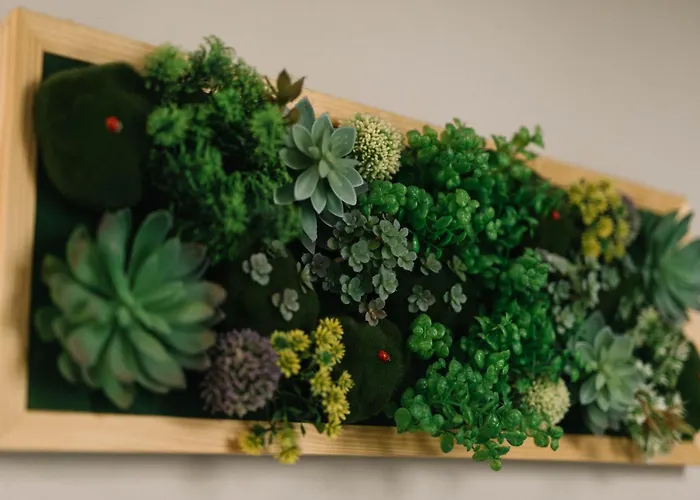 Carrichostel Melbourne