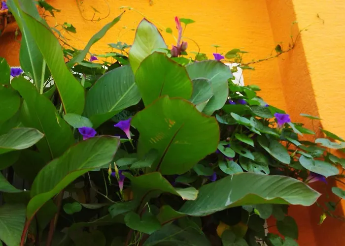 Sultan Hostel & Guesthouse Istanbul