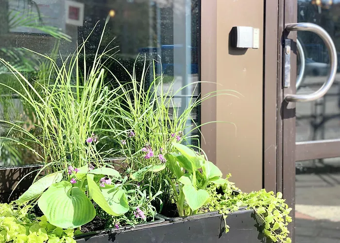 Linneplatsens Hotell & Vandrarhem Gothenburg