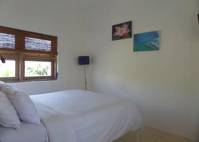 The Island Bali Hostel Seminyak 