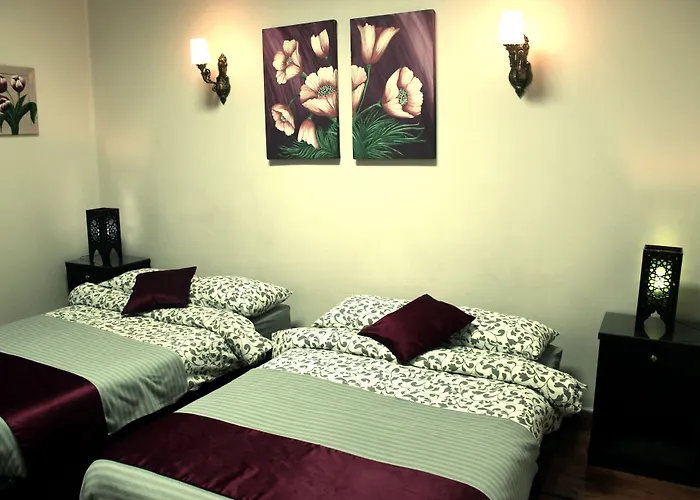 Cairo International Hostel