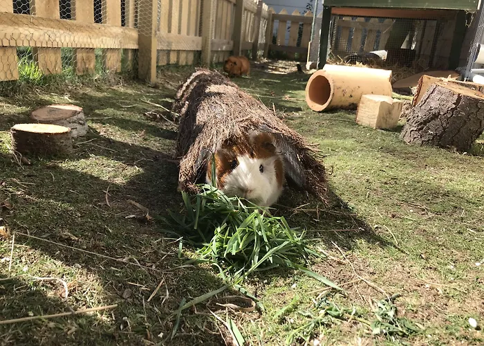 Tailor Made Tekapo Accommodation - Hostel Lake Tekapo