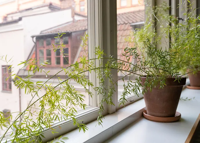 Stf Hostel Stigbergsliden Gothenburg