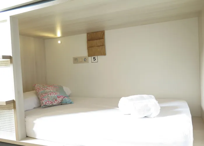 Cats Hostel San Sebastián