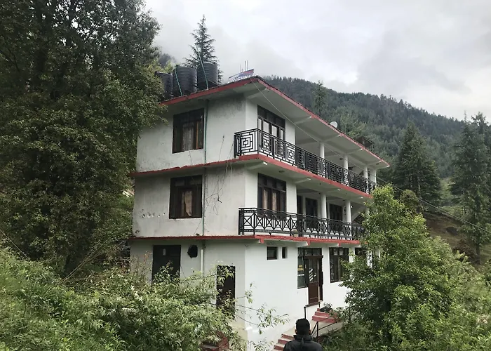 Backpacker Panda Manali Hostel