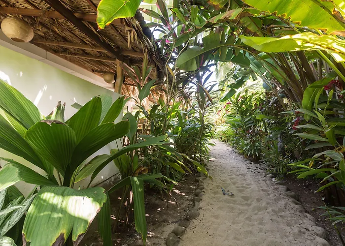 Playa 506 Beachfront Hostel Puerto Viejo de Talamanca