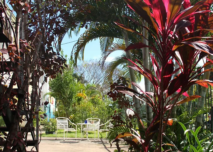 Asylum Cairns Share House Hostel