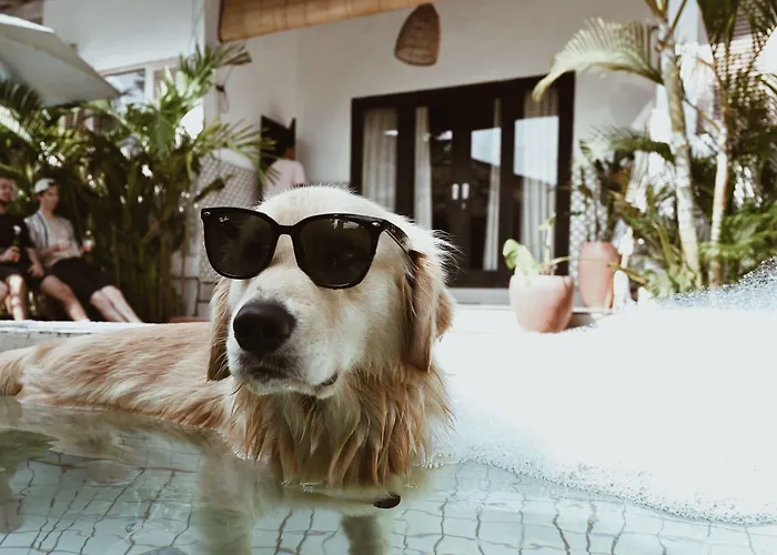 Clandestino Hostel Canggu