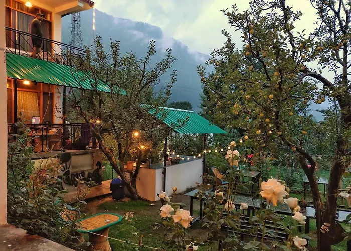 Madpackers Manali Hostel