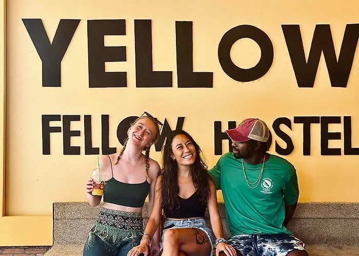 Yellow Fellow Hostel Chiang Mai
