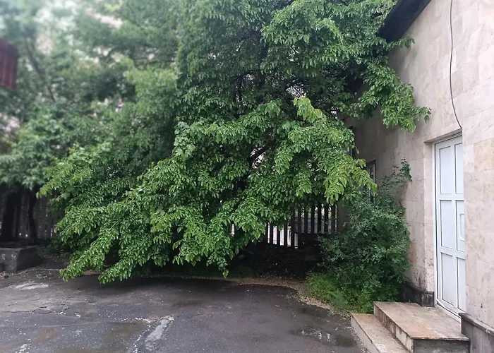 Davinci Hostel Yerevan