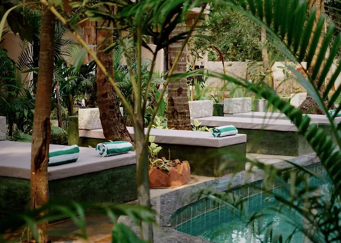 Altr Nativ Morjim, Goa Hostel