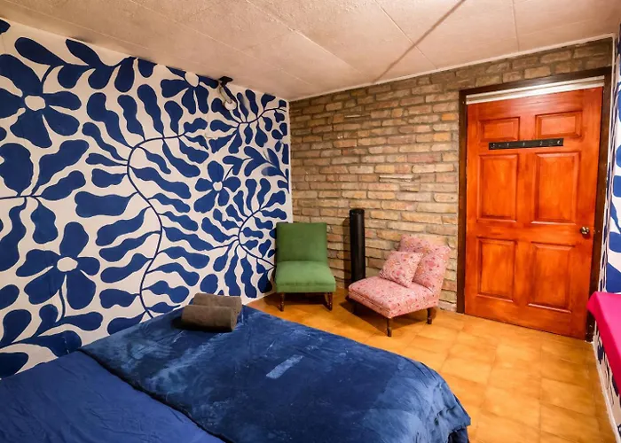 Chillout Hostel Barrio Escalante San Jose 