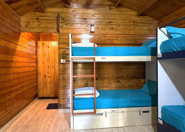 Travo Tales Goa Hostel Arambol