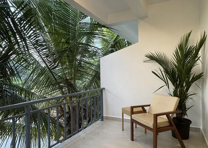 Travo Tales Goa Hostel Arambol