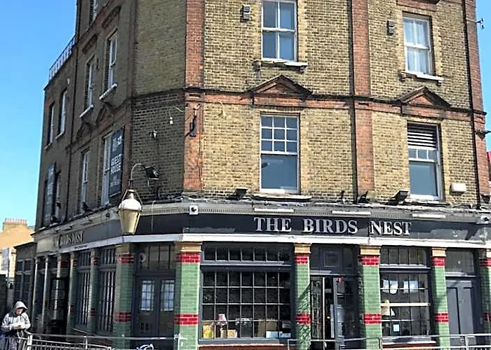 The Birds Nest Hostel London