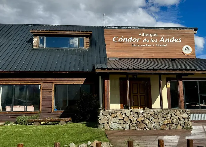 Condor De Los Andes El Chalten